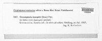 Pseudocercosporella laserpitii image